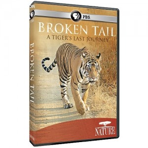 Nature: Broken Tail: A Tiger's Last Journey Cover