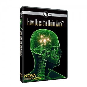 Nova Science Now: How Does the Brain Work? Cover