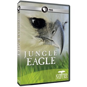 Nature: Jungle Eagle Cover