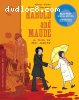 Harold and Maude (Criterion Collection) [Blu-ray]