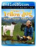 Cave of the Yellow Dog, The [Blu-ray / DVD combo]