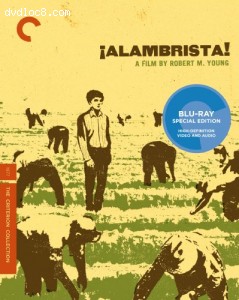 Â¡Alambrista! (The Criterion Collection) [Blu-ray] Cover