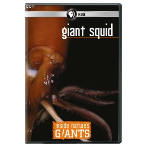 Inside Nature's Giants: Giant Squid Cover