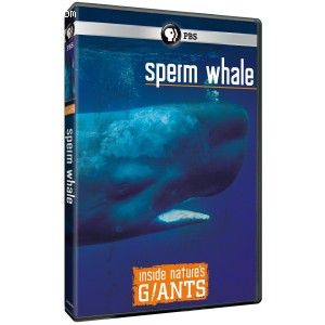 Inside Nature's Giants: Sperm Whale Cover