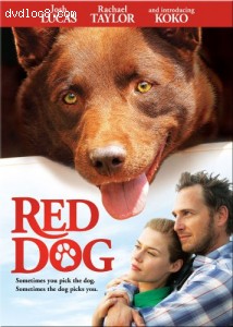 Red Dog Cover