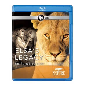 Nature: Elsa's Legacy: The Born Free Story [Blu-ray] Cover