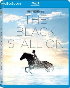 Black Stallion [Blu-ray] Cover