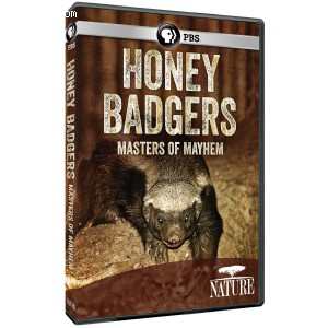 Nature: Honey Badgers: Masters of Mayhem Cover