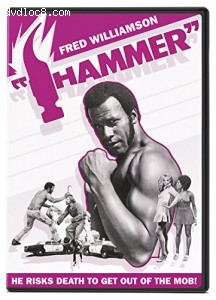 Hammer Cover