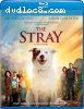 Stray, The [Blu-ray + DVD + Digital]