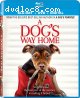 Dogs Way Home, A [Blu-ray + DVD + Digital]
