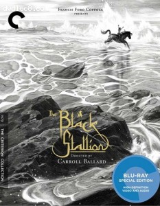 Black Stallion, The (The Criterion Collection) [Blu-ray] Cover