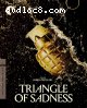 Triangle of Sadness (Criterion Collection) [4K Ultra HD + Blu-ray]