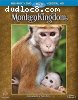 Disneynature: Monkey Kingdom (Blu-Ray + DVD + Digital)