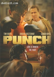 Punch Cover