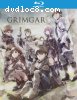 Grimgar: Ashes &amp; Illusions: The Complete Series -(Blu-ray + DVD Combo)