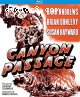 Canyon Passage (Blu-Ray)