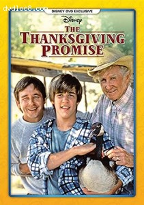 Thanksgiving Promise, The Cover