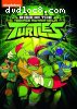 Rise of the Teenage Mutant Ninja Turtles: Volume 1