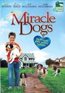Miracle Dogs Cover