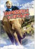 Impossible Elephant, The