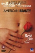American Beauty Cover American Beauty Cover