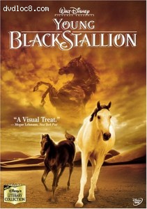 Young Black Stallion Cover